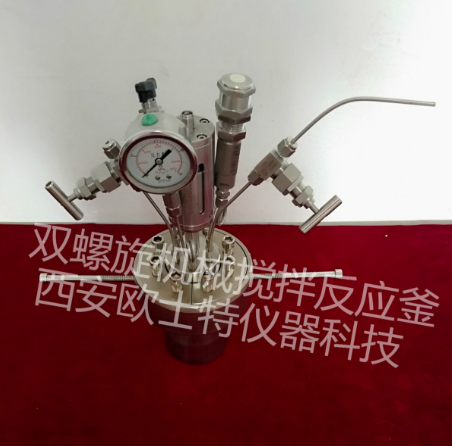 機(jī)械攪拌高壓反應(yīng)釜(圖1)